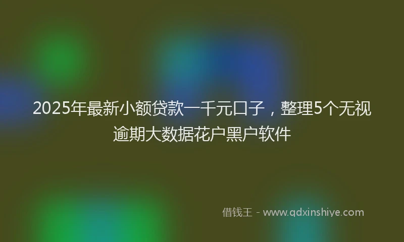 2025年最新小额贷款一千元口子，整理5个无视逾期大数据花户黑户软件