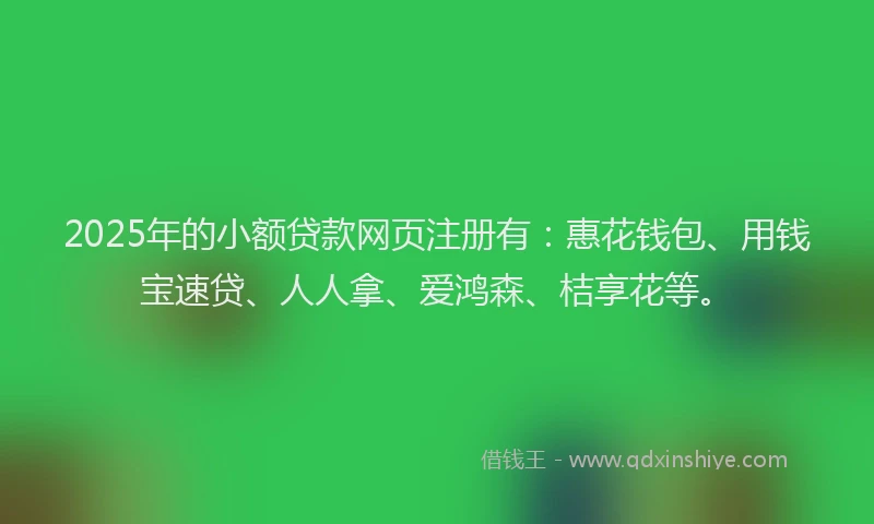 2025年的小额贷款网页注册有：惠花钱包、用钱宝速贷、人人拿、爱鸿森、桔享花等。