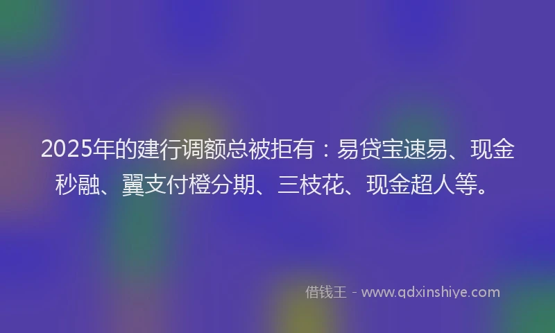 2025年的建行调额总被拒有：易贷宝速易、现金秒融、翼支付橙分期、三枝花、现金超人等。