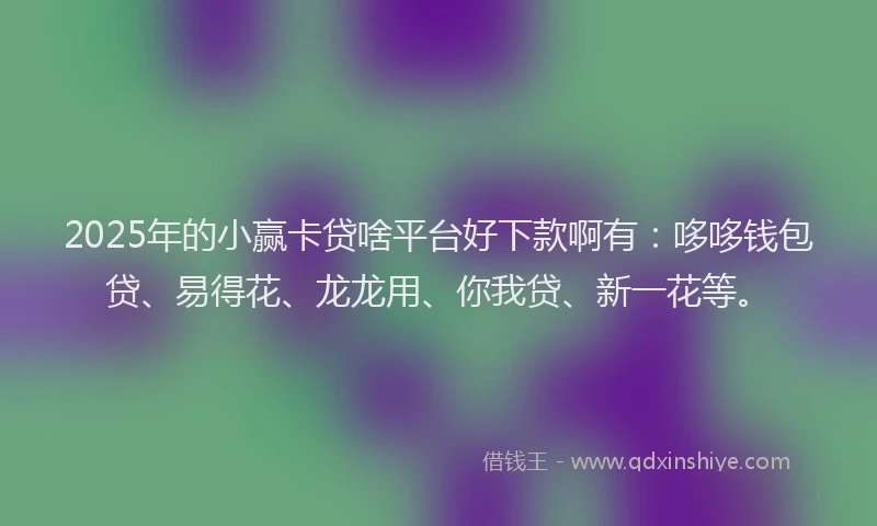 2025年的小赢卡贷啥平台好下款啊有：哆哆钱包贷、易得花、龙龙用、你我贷、新一花等。