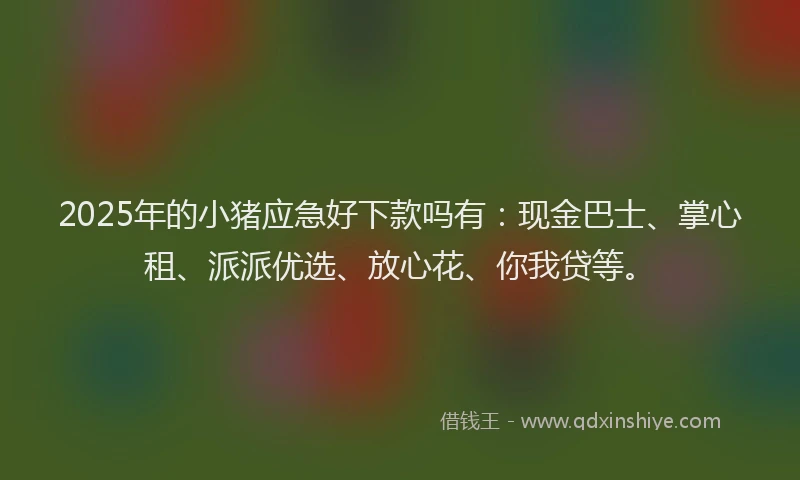 2025年的小猪应急好下款吗有：现金巴士、掌心租、派派优选、放心花、你我贷等。