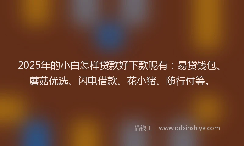 2025年的小白怎样贷款好下款呢有：易贷钱包、蘑菇优选、闪电借款、花小猪、随行付等。