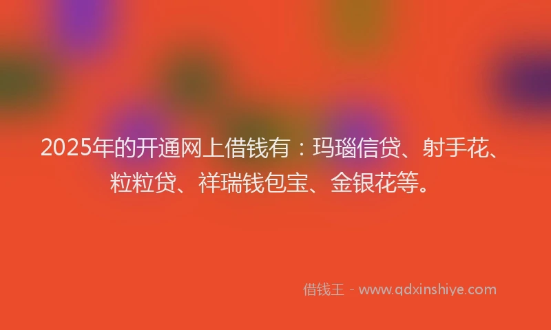 2025年的开通网上借钱有：玛瑙信贷、射手花、粒粒贷、祥瑞钱包宝、金银花等。