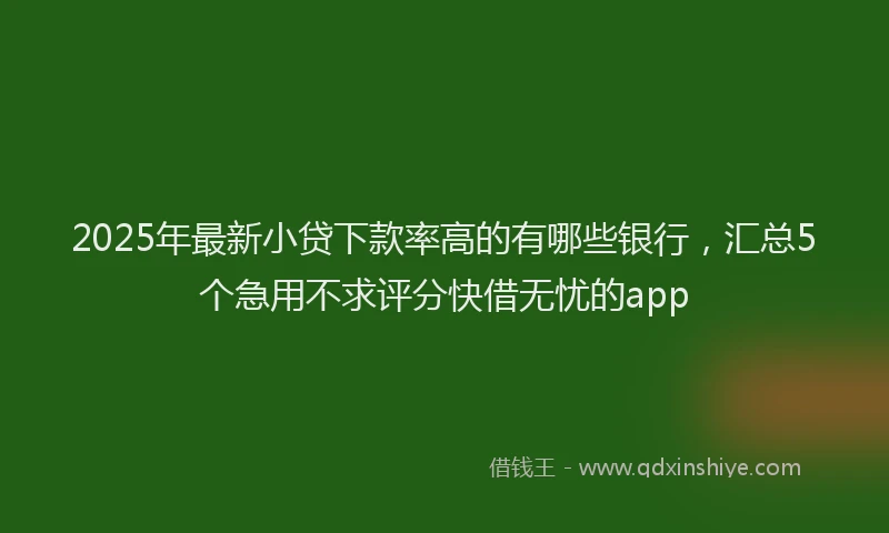 2025年最新小贷下款率高的有哪些银行，汇总5个急用不求评分快借无忧的app