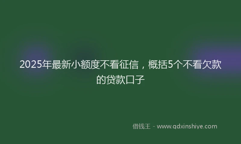 2025年最新小额度不看征信，概括5个不看欠款的贷款口子