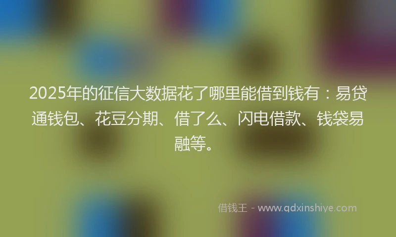 2025年的征信大数据花了哪里能借到钱有：易贷通钱包、花豆分期、借了么、闪电借款、钱袋易融等。