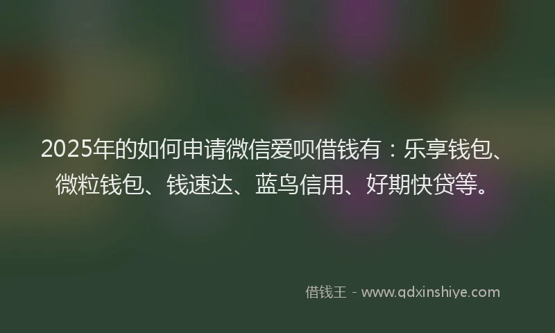 2025年的如何申请微信爱呗借钱有：乐享钱包、微粒钱包、钱速达、蓝鸟信用、好期快贷等。