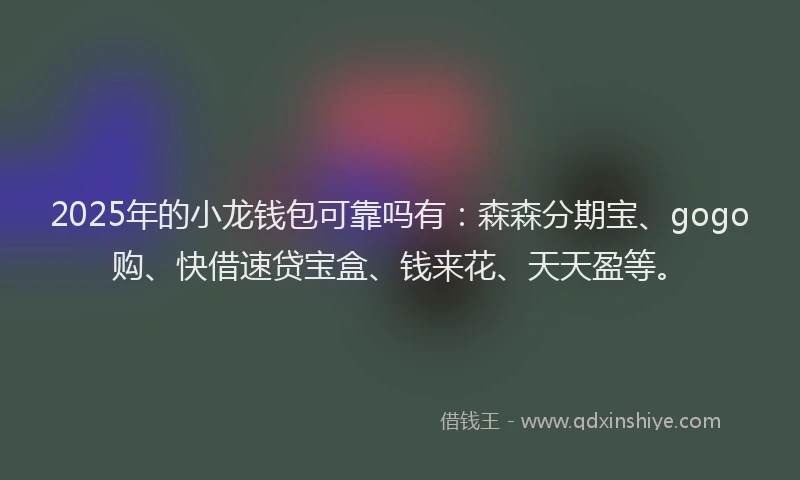 2025年的小龙钱包可靠吗有：森森分期宝、gogo购、快借速贷宝盒、钱来花、天天盈等。