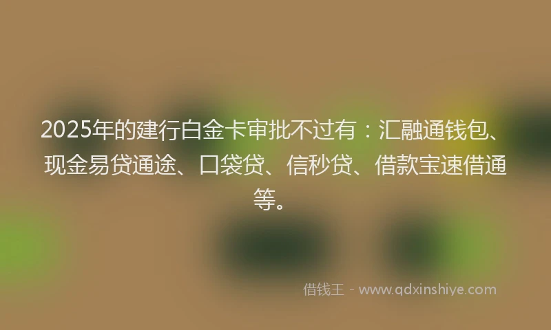 2025年的建行白金卡审批不过有：汇融通钱包、现金易贷通途、口袋贷、信秒贷、借款宝速借通等。