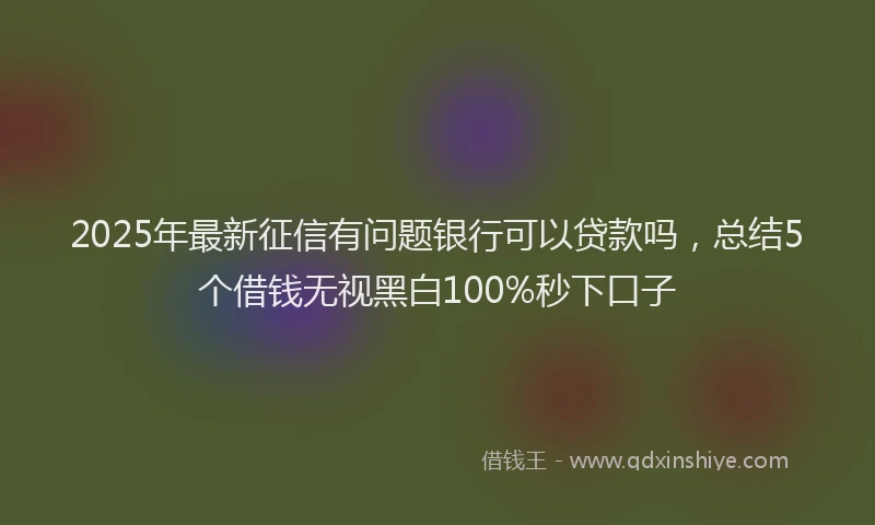 2025年最新征信有问题银行可以贷款吗，总结5个借钱无视黑白100%秒下口子