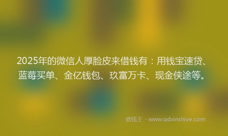 2025年的微信人厚脸皮来借钱有：用钱宝速贷、蓝莓买单、金亿钱包、玖富万卡、现金侠途等。