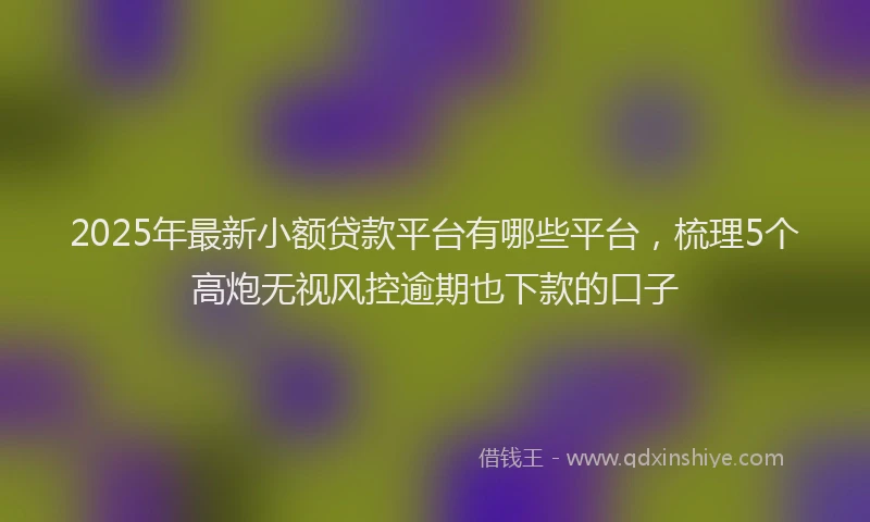2025年最新小额贷款平台有哪些平台，梳理5个高炮无视风控逾期也下款的口子