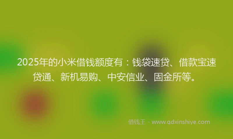 2025年的小米借钱额度有：钱袋速贷、借款宝速贷通、新机易购、中安信业、固金所等。