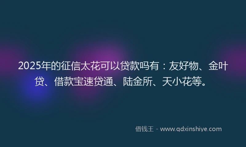 2025年的征信太花可以贷款吗有：友好物、金叶贷、借款宝速贷通、陆金所、天小花等。