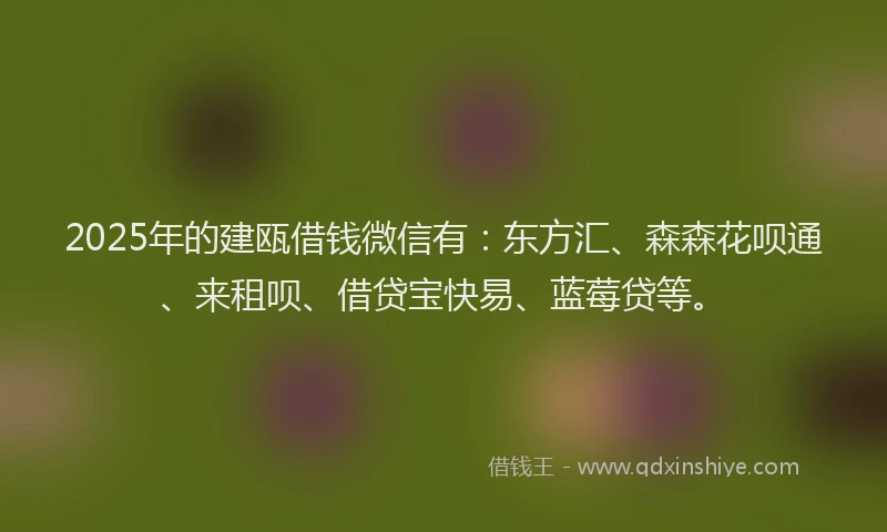 2025年的建瓯借钱微信有：东方汇、森森花呗通、来租呗、借贷宝快易、蓝莓贷等。