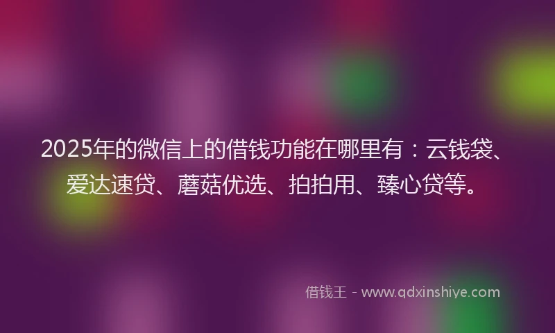 2025年的微信上的借钱功能在哪里有：云钱袋、爱达速贷、蘑菇优选、拍拍用、臻心贷等。