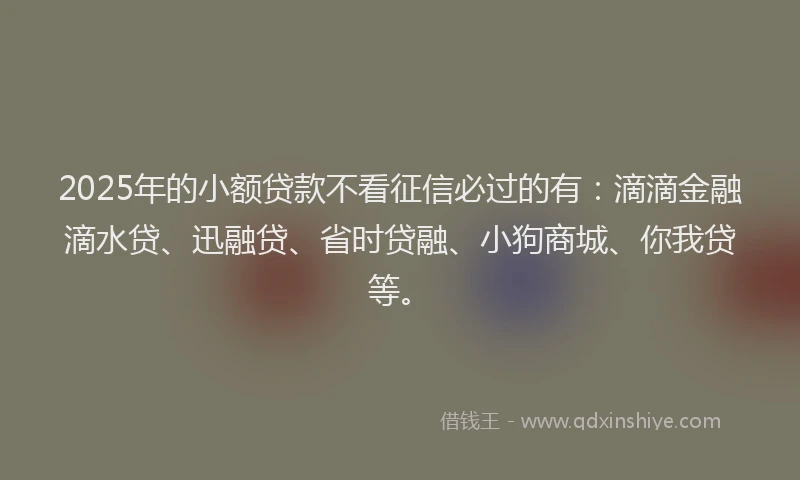 2025年的小额贷款不看征信必过的有：滴滴金融滴水贷、迅融贷、省时贷融、小狗商城、你我贷等。