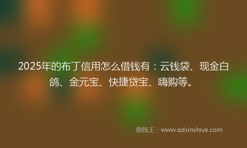 2025年的布丁信用怎么借钱有：云钱袋、现金白鸽、金元宝、快捷贷宝、嗨购等。