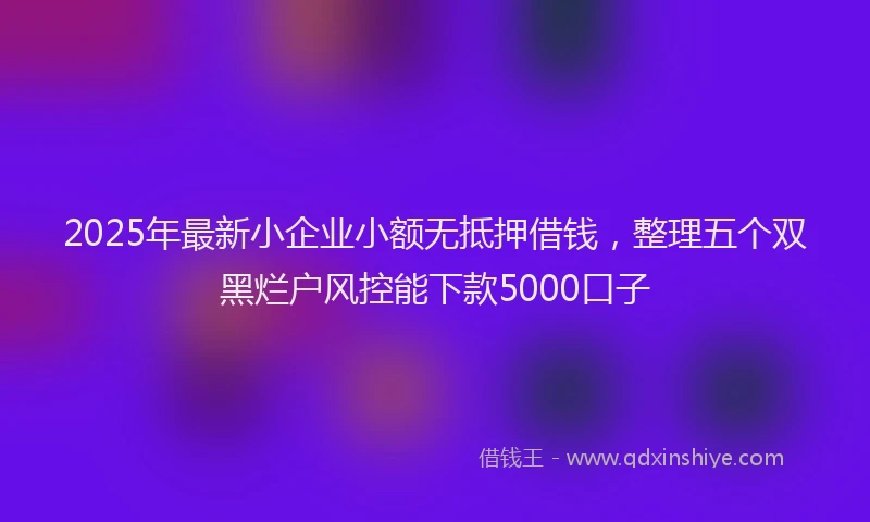 2025年最新小企业小额无抵押借钱，整理五个双黑烂户风控能下款5000口子