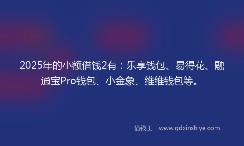 2025年的小额借钱2有：乐享钱包、易得花、融通宝Pro钱包、小金象、维维钱包等。