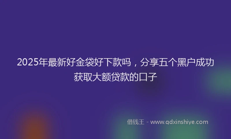 2025年最新好金袋好下款吗，分享五个黑户成功获取大额贷款的口子