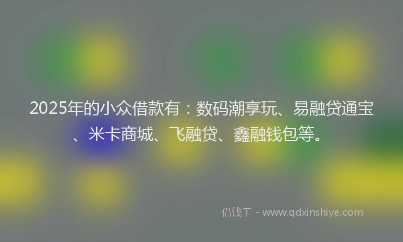 2025年的小众借款有：数码潮享玩、易融贷通宝、米卡商城、飞融贷、鑫融钱包等。