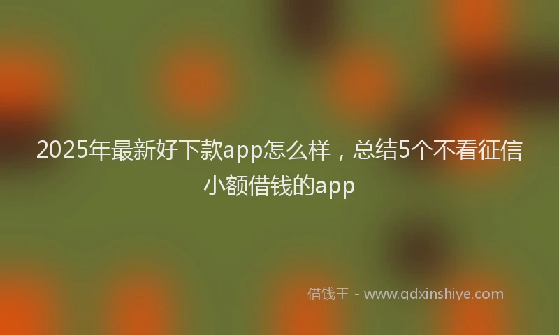 2025年最新好下款app怎么样，总结5个不看征信小额借钱的app