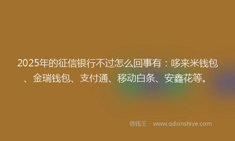 2025年的征信银行不过怎么回事有：哆来米钱包、金瑞钱包、支付通、移动白条、安鑫花等。