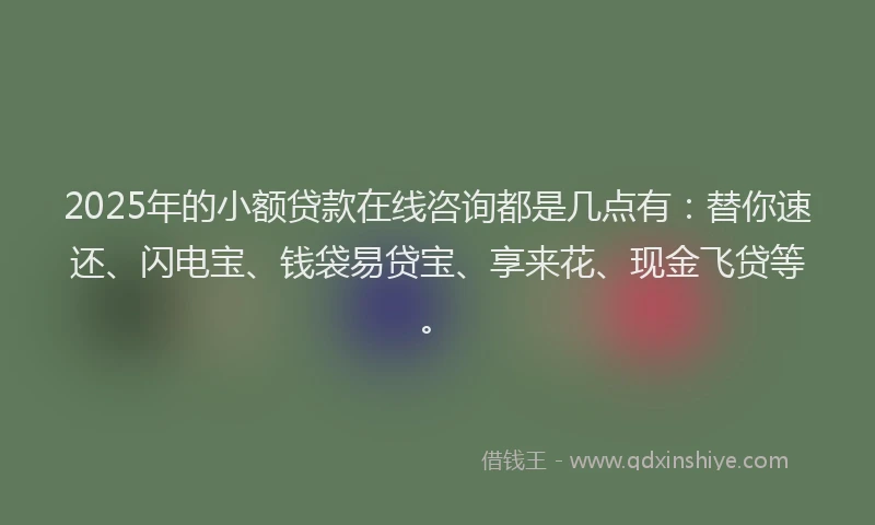 2025年的小额贷款在线咨询都是几点有：替你速还、闪电宝、钱袋易贷宝、享来花、现金飞贷等。
