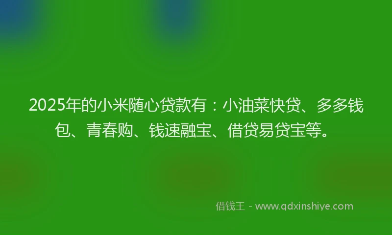 2025年的小米随心贷款有：小油菜快贷、多多钱包、青春购、钱速融宝、借贷易贷宝等。