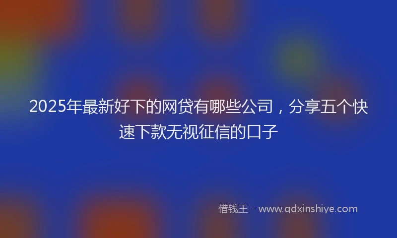 2025年最新好下的网贷有哪些公司，分享五个快速下款无视征信的口子