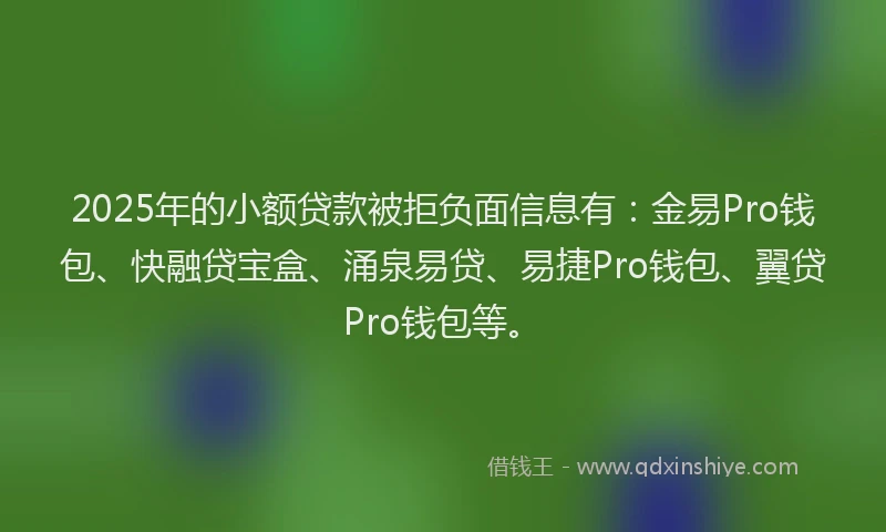 2025年的小额贷款被拒负面信息有：金易Pro钱包、快融贷宝盒、涌泉易贷、易捷Pro钱包、翼贷Pro钱包等。