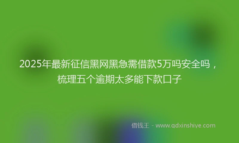2025年最新征信黑网黑急需借款5万吗安全吗，梳理五个逾期太多能下款口子