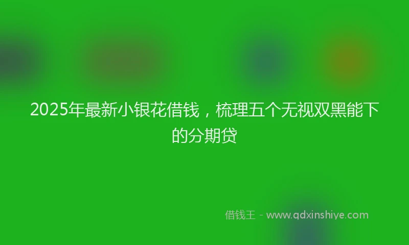 2025年最新小银花借钱，梳理五个无视双黑能下的分期贷
