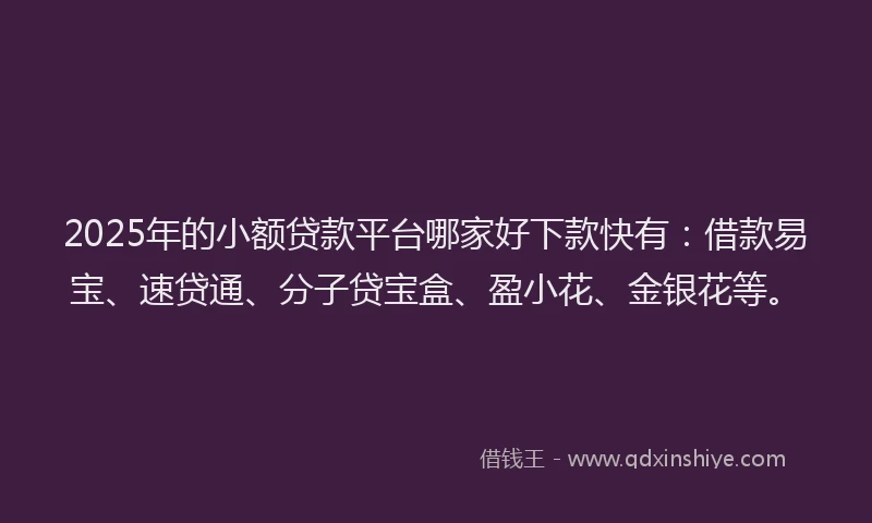 2025年的小额贷款平台哪家好下款快有：借款易宝、速贷通、分子贷宝盒、盈小花、金银花等。