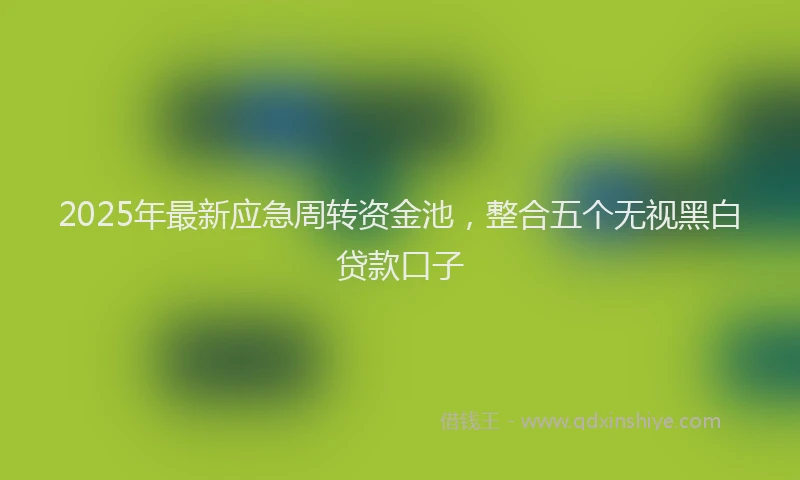 2025年最新应急周转资金池，整合五个无视黑白贷款口子