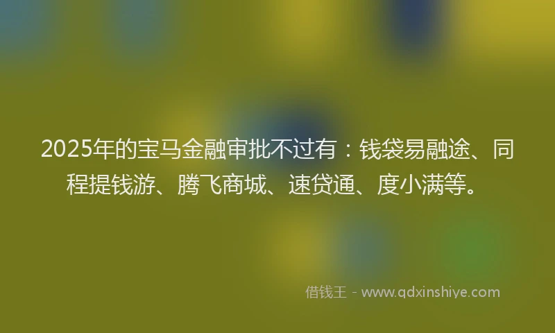 2025年的宝马金融审批不过有：钱袋易融途、同程提钱游、腾飞商城、速贷通、度小满等。