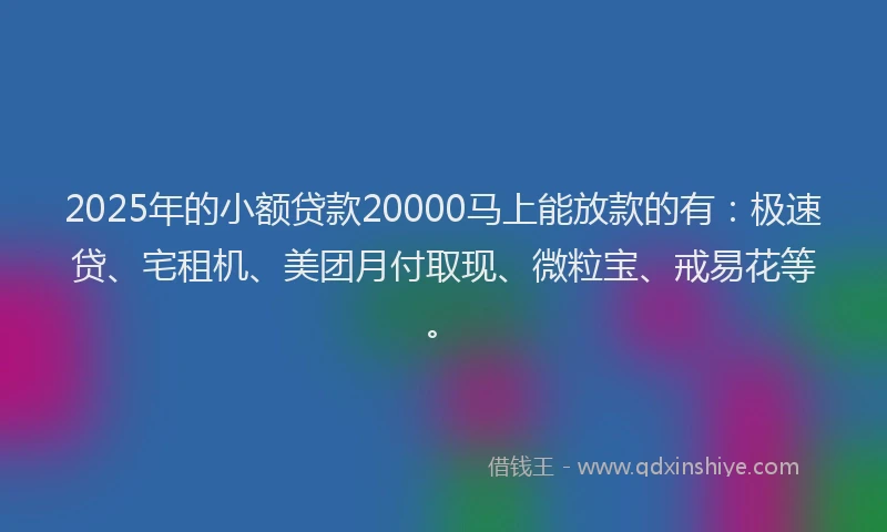 2025年的小额贷款20000马上能放款的有：极速贷、宅租机、美团月付取现、微粒宝、戒易花等。