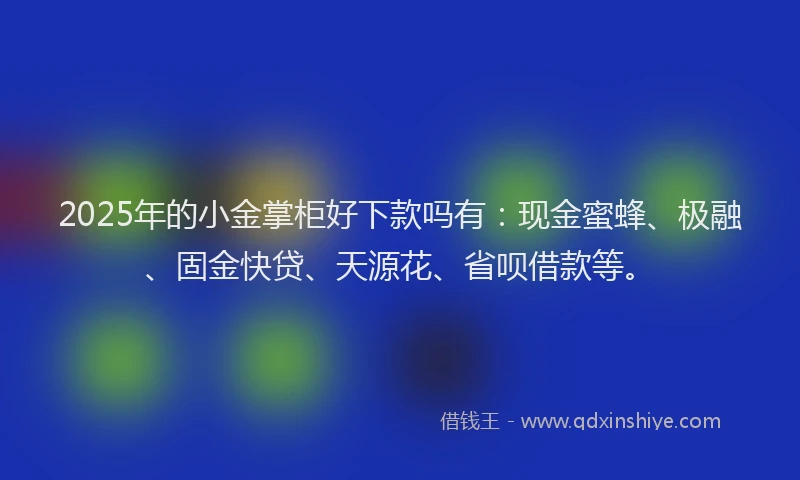 2025年的小金掌柜好下款吗有：现金蜜蜂、极融、固金快贷、天源花、省呗借款等。