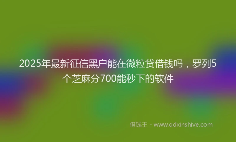 2025年最新征信黑户能在微粒贷借钱吗，罗列5个芝麻分700能秒下的软件