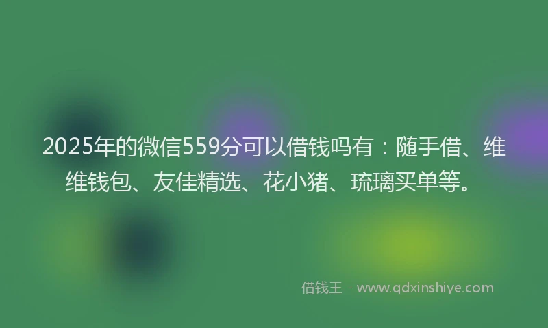 2025年的微信559分可以借钱吗有：随手借、维维钱包、友佳精选、花小猪、琉璃买单等。