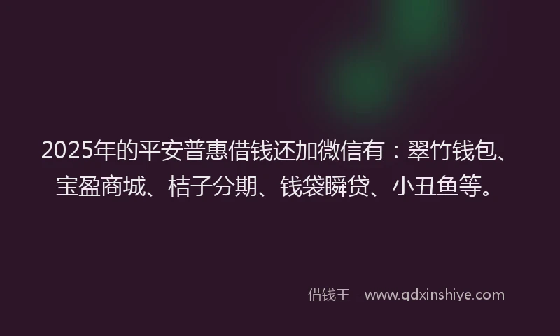 2025年的平安普惠借钱还加微信有：翠竹钱包、宝盈商城、桔子分期、钱袋瞬贷、小丑鱼等。