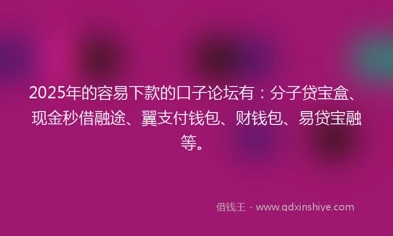 2025年的容易下款的口子论坛有：分子贷宝盒、现金秒借融途、翼支付钱包、财钱包、易贷宝融等。