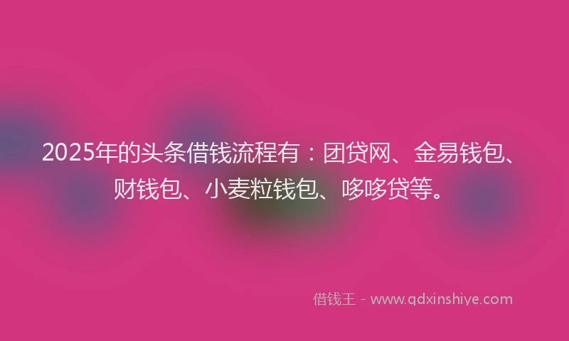 2025年的头条借钱流程有：团贷网、金易钱包、财钱包、小麦粒钱包、哆哆贷等。