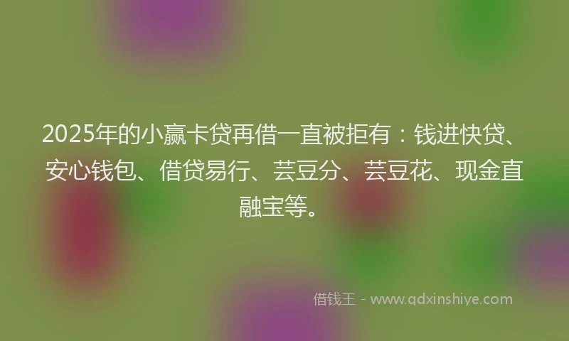 2025年的小赢卡贷再借一直被拒有：钱进快贷、安心钱包、借贷易行、芸豆分、芸豆花、现金直融宝等。