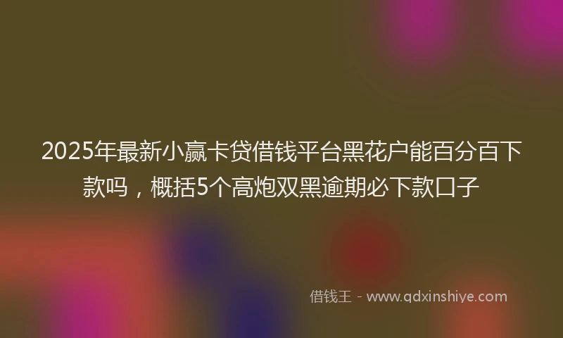 2025年最新小赢卡贷借钱平台黑花户能百分百下款吗，概括5个高炮双黑逾期必下款口子