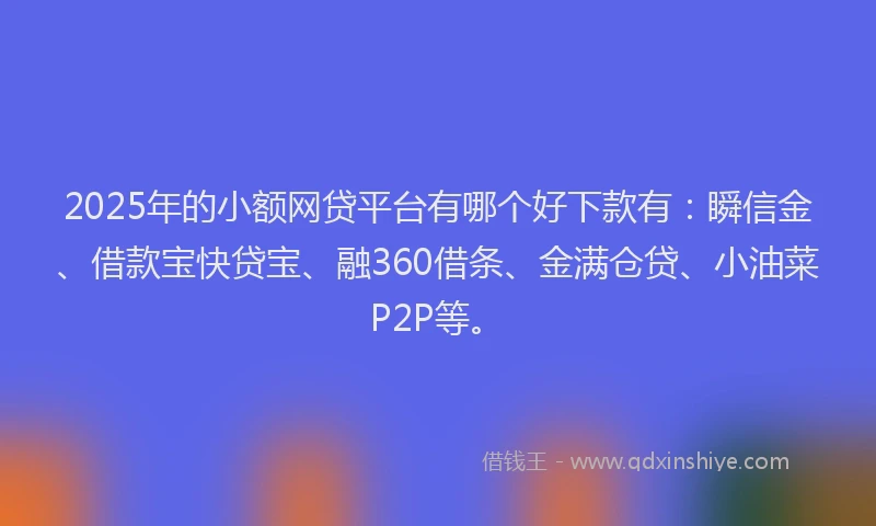 2025年的小额网贷平台有哪个好下款有：瞬信金、借款宝快贷宝、融360借条、金满仓贷、小油菜P2P等。