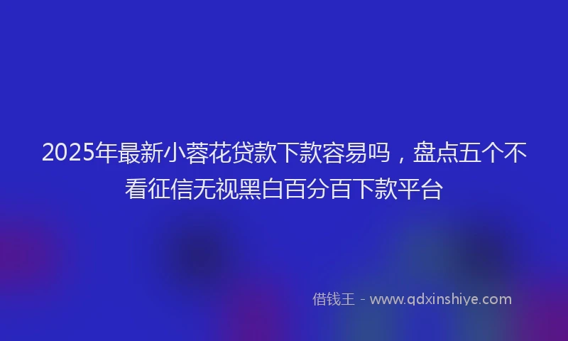 2025年最新小蓉花贷款下款容易吗，盘点五个不看征信无视黑白百分百下款平台