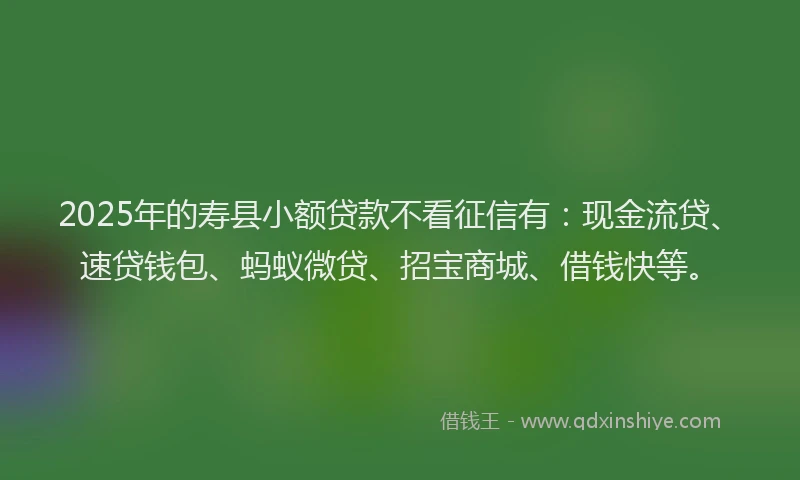 2025年的寿县小额贷款不看征信有：现金流贷、速贷钱包、蚂蚁微贷、招宝商城、借钱快等。