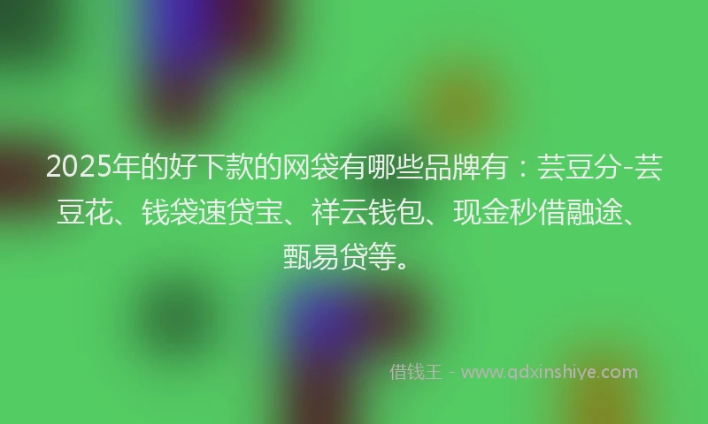 2025年的好下款的网袋有哪些品牌有：芸豆分-芸豆花、钱袋速贷宝、祥云钱包、现金秒借融途、甄易贷等。